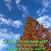 つむぎ (o^^o) 横浜おかあさん