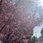 ヒメ日記 2026/03/12 10:05 投稿 つむぎ 横浜おかあさん