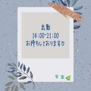 ヒメ日記 2025/11/24 08:21 投稿 蜜葉【ミツハ】 Evolution1st ミナミ谷九店