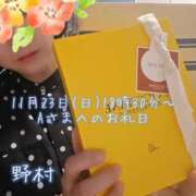 ヒメ日記 2025/11/24 02:01 投稿 野村（ノムラ） アバンチュール(五反田)