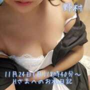 ヒメ日記 2025/11/25 03:01 投稿 野村（ノムラ） アバンチュール(五反田)