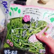 ヒメ日記 2026/01/07 11:46 投稿 野村（ノムラ） アバンチュール(五反田)