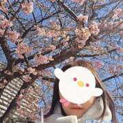 ヒメ日記 2026/02/27 21:31 投稿 野村（ノムラ） アバンチュール(五反田)