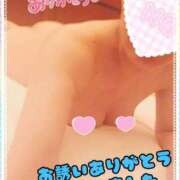 ヒメ日記 2026/03/29 17:31 投稿 よしの 奥様特急長岡店