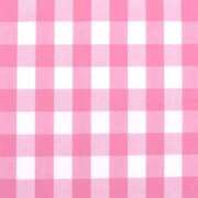 ヒメ日記 2026/04/28 12:42 投稿 こころ プールサイド