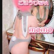 ヒメ日記 2026/09/13 15:05 投稿 もも ごほうびSPA広島店