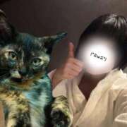 ヒメ日記 2025/11/28 18:03 投稿 コナツ MEGA PALACE(メガパレス）