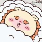 コナツ 睡眠の質ってだいじ MEGA PALACE(メガパレス）