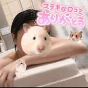 ヒメ日記 2025/12/22 21:43 投稿 コナツ MEGA PALACE(メガパレス）