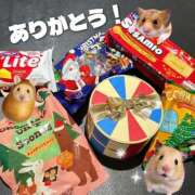 ヒメ日記 2025/12/24 23:58 投稿 コナツ MEGA PALACE(メガパレス）