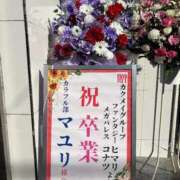 ヒメ日記 2025/12/26 16:19 投稿 コナツ MEGA PALACE(メガパレス）