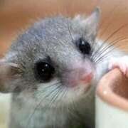 ヒメ日記 2026/01/21 10:13 投稿 コナツ MEGA PALACE(メガパレス）