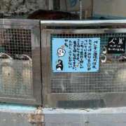 ヒメ日記 2026/02/13 15:16 投稿 コナツ MEGA PALACE(メガパレス）