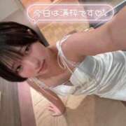 ヒメ日記 2026/02/20 22:47 投稿 コナツ MEGA PALACE(メガパレス）