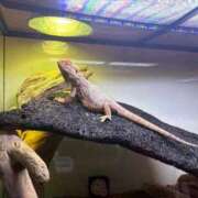 ヒメ日記 2026/02/21 22:48 投稿 コナツ MEGA PALACE(メガパレス）