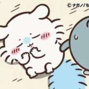 ヒメ日記 2026/04/08 14:53 投稿 コナツ MEGA PALACE(メガパレス）