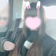 ヒメ日記 2026/01/16 09:02 投稿 なな ノース -North-