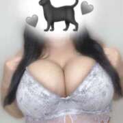 ヒメ日記 2026/02/22 12:29 投稿 かるあ 白いぽっちゃりさん五反田店