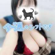ヒメ日記 2026/05/12 12:49 投稿 かるあ 白いぽっちゃりさん五反田店