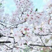 ヒメ日記 2026/04/02 14:10 投稿 ♡みれい♡ 梅田ムチぽよ女学院