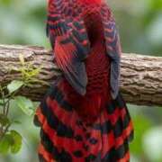 ヒメ日記 2025/11/24 00:01 投稿 みさえ 即アポマダム～名古屋店～