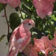 ヒメ日記 2025/11/25 02:40 投稿 みさえ 即アポ奥さん〜名古屋店〜