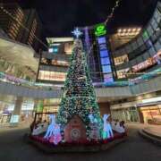 ヒメ日記 2025/12/25 18:11 投稿 みさえ 即アポ奥さん〜名古屋店〜