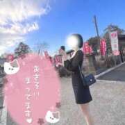 ヒメ日記 2026/02/08 17:11 投稿 奈菜（なな） NOA（ノア）