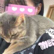 ヒメ日記 2026/02/25 17:17 投稿 奈菜（なな） NOA（ノア）