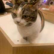 ヒメ日記 2026/02/28 12:33 投稿 奈菜（なな） NOA（ノア）