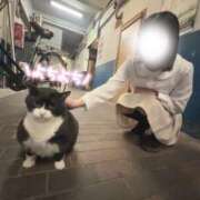 ヒメ日記 2026/04/02 16:35 投稿 奈菜（なな） NOA（ノア）