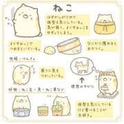 るこ 13:00-18:30 ぷよステーション 蒲田店