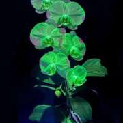 ヒメ日記 2026/02/08 18:28 投稿 るこ ぷよステーション 蒲田店