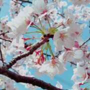 ヒメ日記 2026/03/18 08:45 投稿 あい おじさま大好き素人オナクラ谷九店