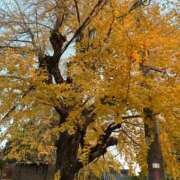 ヒメ日記 2025/12/09 19:02 投稿 きい ドM女学園大阪