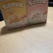 ヒメ日記 2026/01/28 06:15 投稿 きい ドM女学園大阪