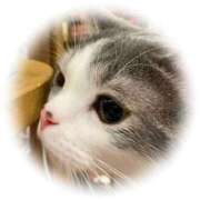 ヒメ日記 2026/01/13 10:02 投稿 まなみ 熟女の風俗最終章 宇都宮店