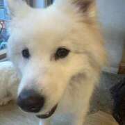 ヒメ日記 2026/01/23 12:47 投稿 月岡めいさ HYPER TOKYO