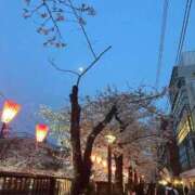 ヒメ日記 2026/04/02 12:48 投稿 月岡めいさ HYPER TOKYO