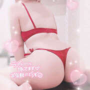 ヒメ日記 2025/11/29 11:42 投稿 すずね 鎌倉御殿 新館