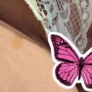 ヒメ日記 2025/12/30 14:28 投稿 新垣みさ子 五十路マダム　和歌山店