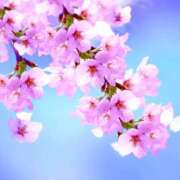 ヒメ日記 2026/03/20 13:04 投稿 新垣みさ子 五十路マダム　和歌山店