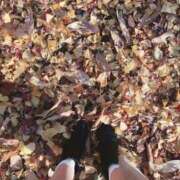 ヒメ日記 2025/12/04 12:10 投稿 みひろ 東京人妻セレブリティ（ユメオト）