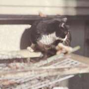 ヒメ日記 2025/12/20 13:56 投稿 みひろ 東京人妻セレブリティ（ユメオト）