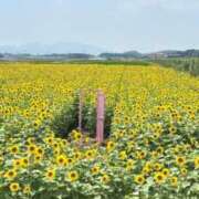 ヒメ日記 2026/07/21 22:54 投稿 ひまり 熊本しこたまクリニック（アクセスグループ）