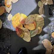 ヒメ日記 2025/12/02 21:56 投稿 亀梨～KAMENASHI～ BBW大宮店