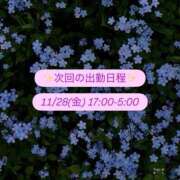 ヒメ日記 2025/11/27 21:00 投稿 ねお つまみぐいイケちゃいますよ！