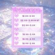 ヒメ日記 2026/01/13 08:01 投稿 ねお つまみぐいイケちゃいますよ！