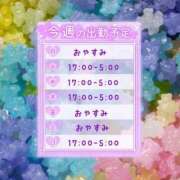 ヒメ日記 2026/04/07 15:33 投稿 ねお つまみぐいイケちゃいますよ！