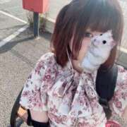 ヒメ日記 2025/11/23 21:37 投稿 はお 宮崎ちゃんこ中央通店